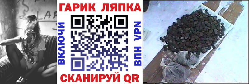 кракен сайт  наркотики  Зерноград  ГАШИШ Premium 
