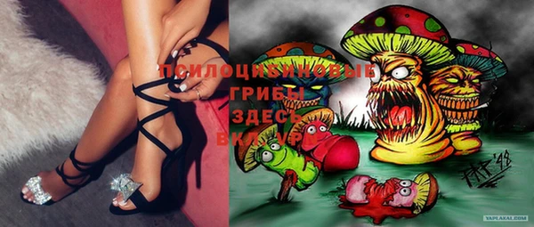 экстази Елабуга