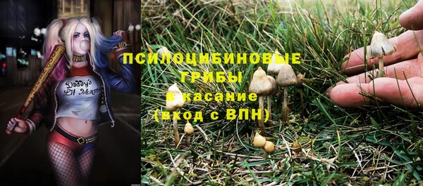 соль ск Елизово