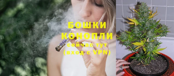 соль ск Елизово