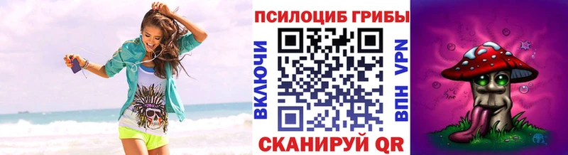 Псилоцибиновые грибы Magic Shrooms  Зерноград 