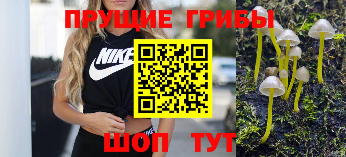 Галлюциногенные грибы прущие грибы Зерноград